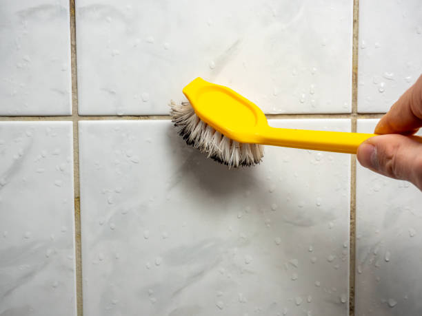 Best Toxic Mold Removal  in Paincourtville, LA