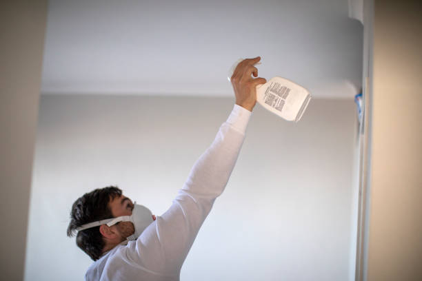 Best Mold Removal Near Me  in Paincourtville, LA